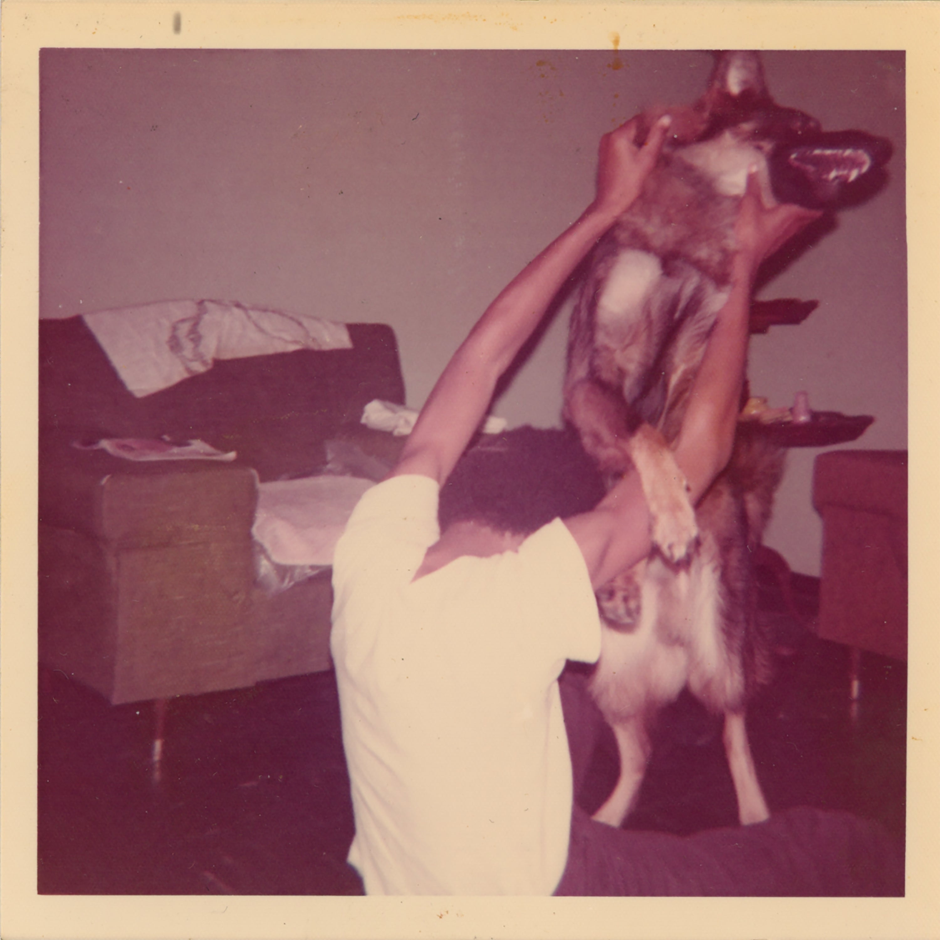 ELUCID I TOLD BESSIE レコード ELUCID_bessie_cover_scan_3000x