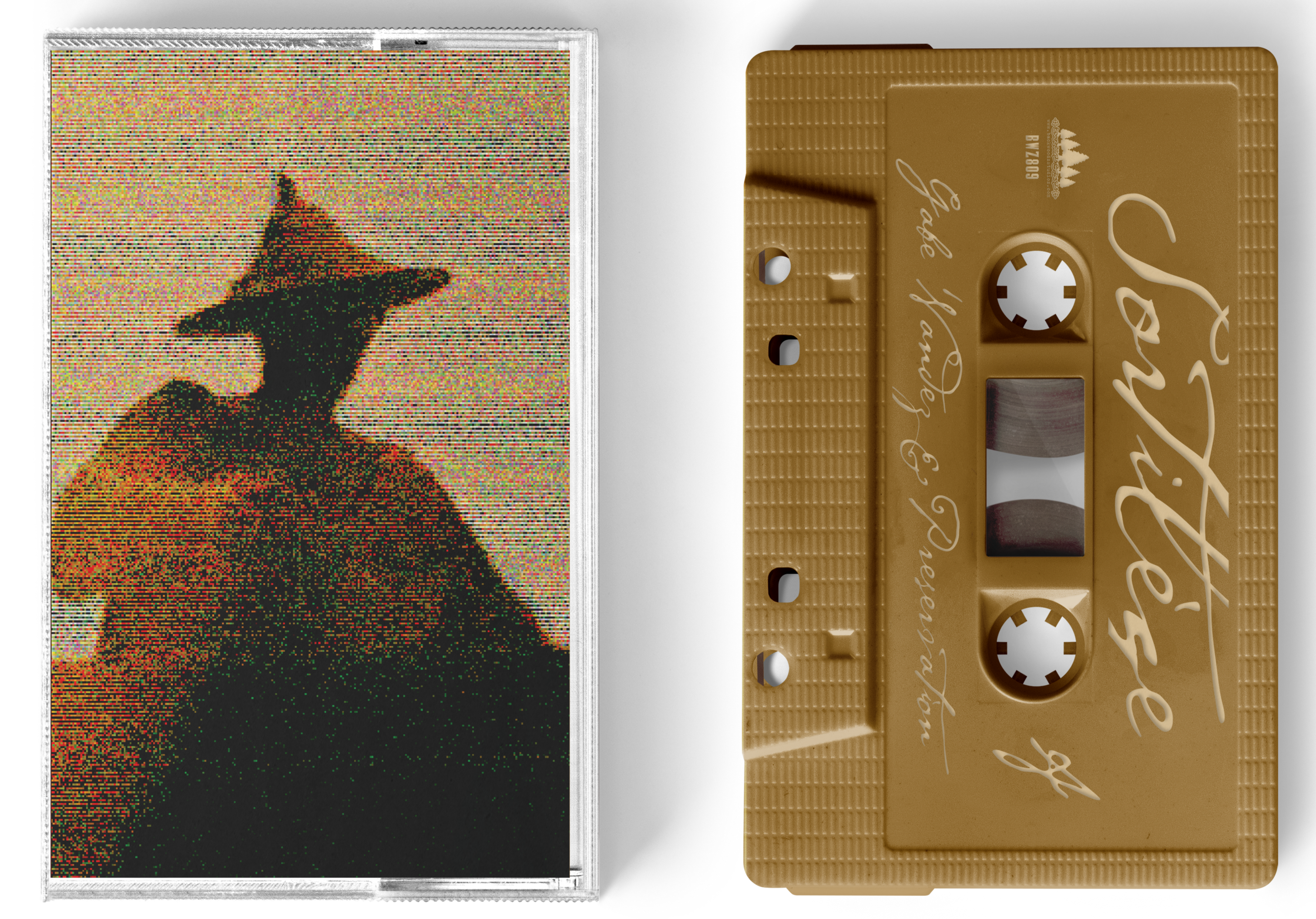 Hip Hop Cassette Tapes For Music Collectors – backwoodzstudioz