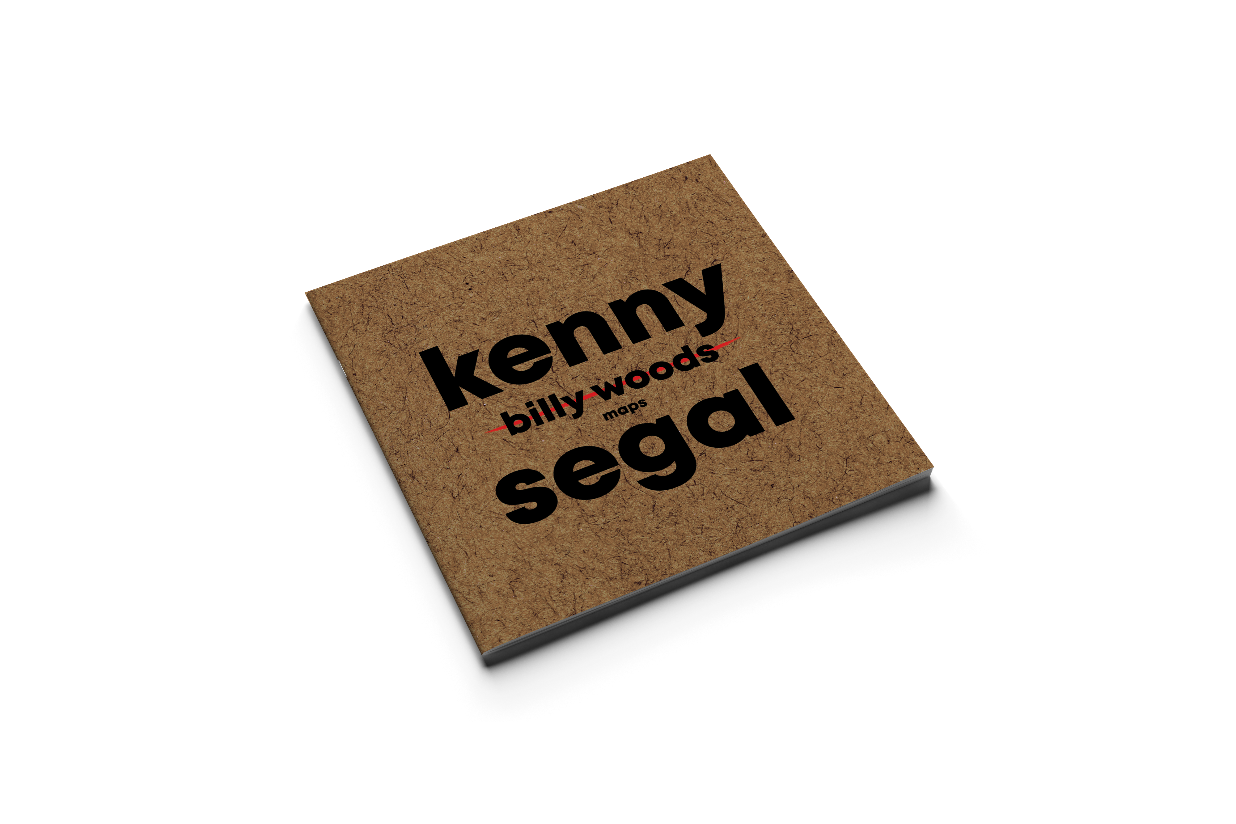 billy woods x Kenny Segal - MAPS DELUXE [Deluxe 2xLP Vinyl, 7x7 Booklet]