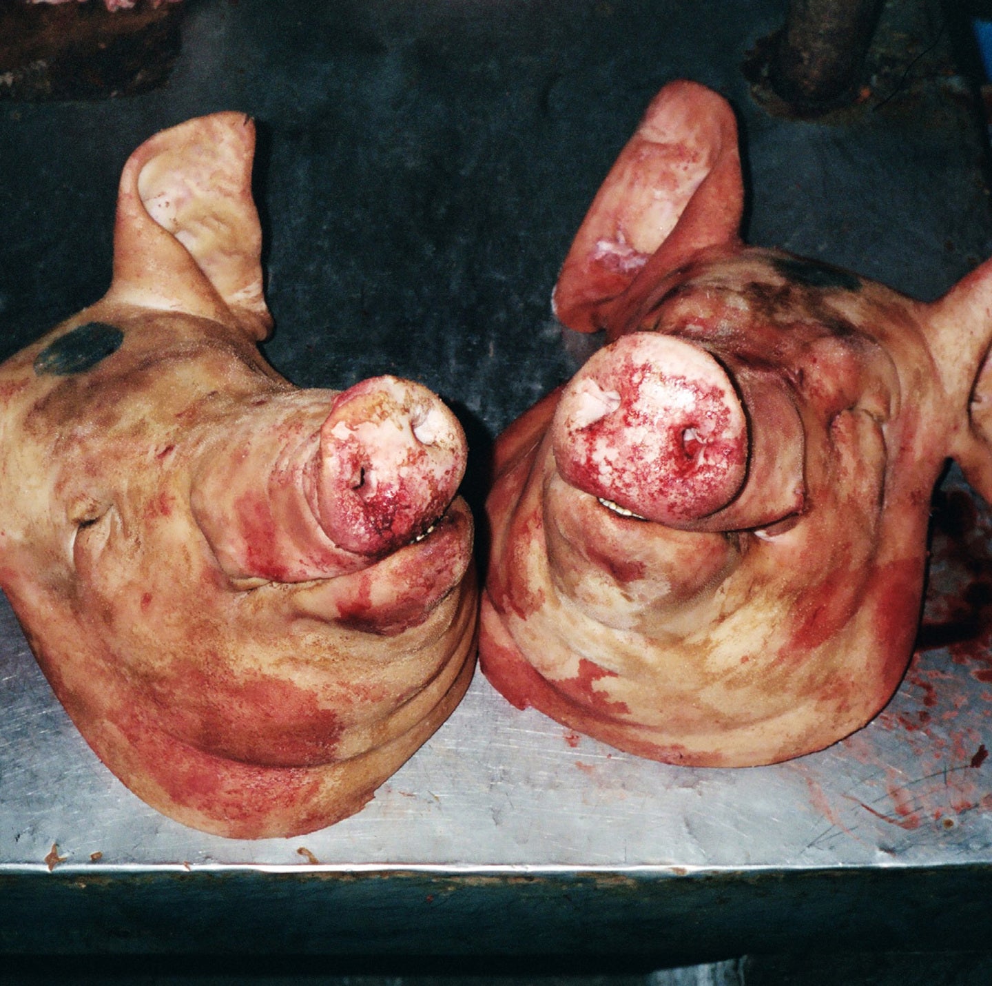 God's Feet